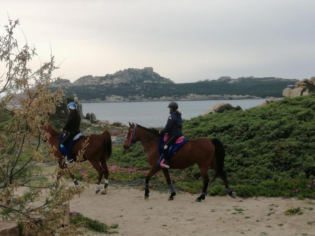 Casa Baia Santa Reparata - Santa Teresa Di Gallura Iun Q1712 외부 사진